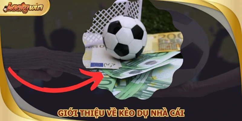 Người chơi nên cảnh giác với kèo dụ nhà cái bất thường