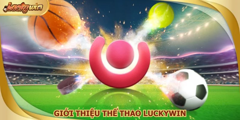 Thể thao Luckywin trở thành sự lựa chọn ưu tiên hàng đầu