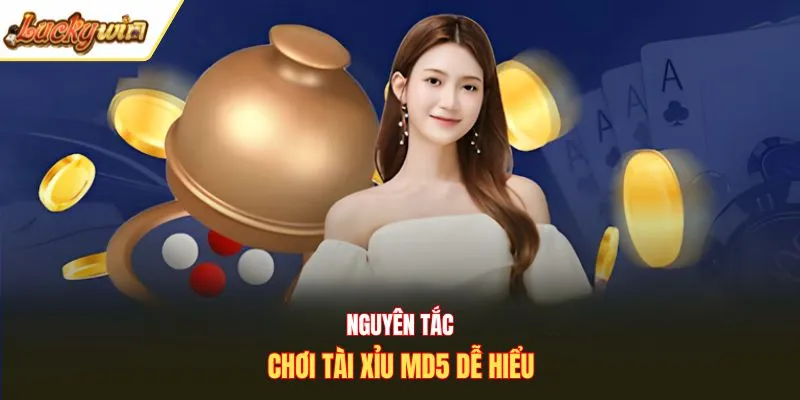 Nguyên tắc chơi tài xỉu MD5 dễ hiểu