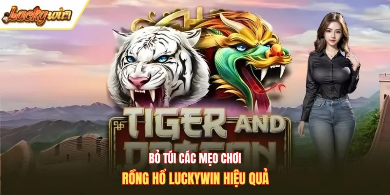 Bỏ túi các mẹo chơi Rồng hổ Luckywin hiệu quả